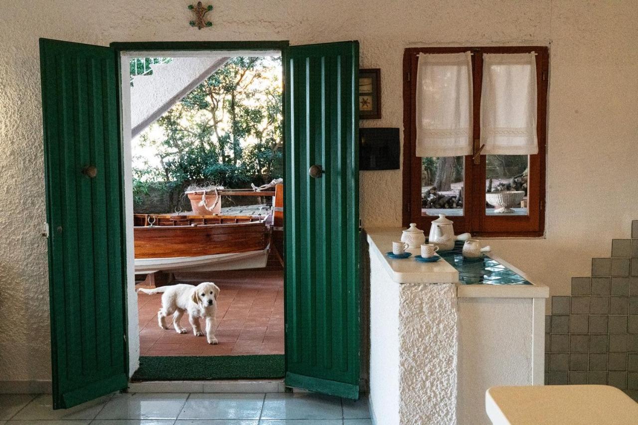 Villa Angela Santa Teresa Gallura Εξωτερικό φωτογραφία